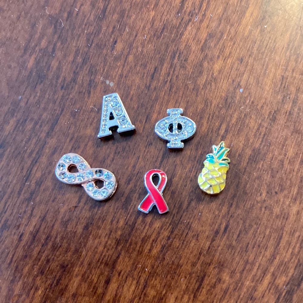 Origami Owl Alpha Phi Charms